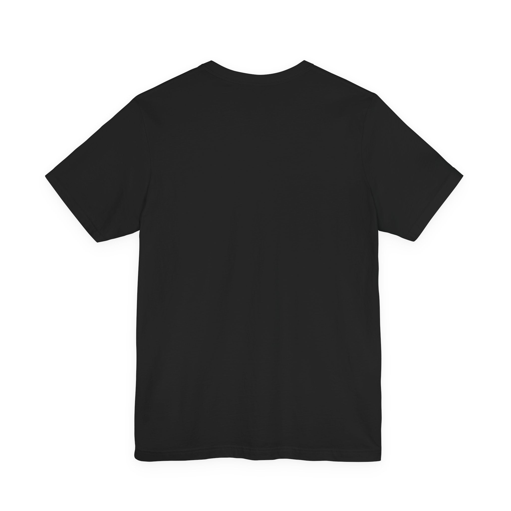 Meditating raccoon t-shirt: a raccoon sitting cross-legged in misty bamboo, black unisex tee