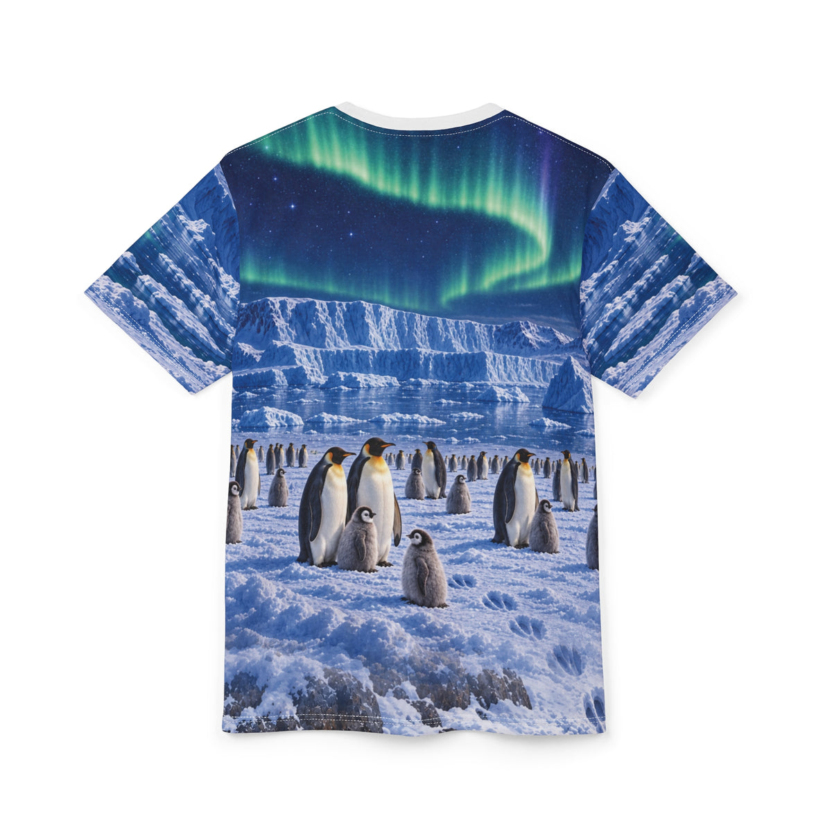 Alternate model view of the Antarctic Field Note tee, showing the Antarctic scene across the garment.